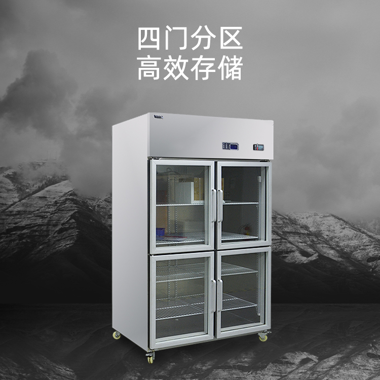 粉色免费视频黄色 1000L玻璃門(圖1)